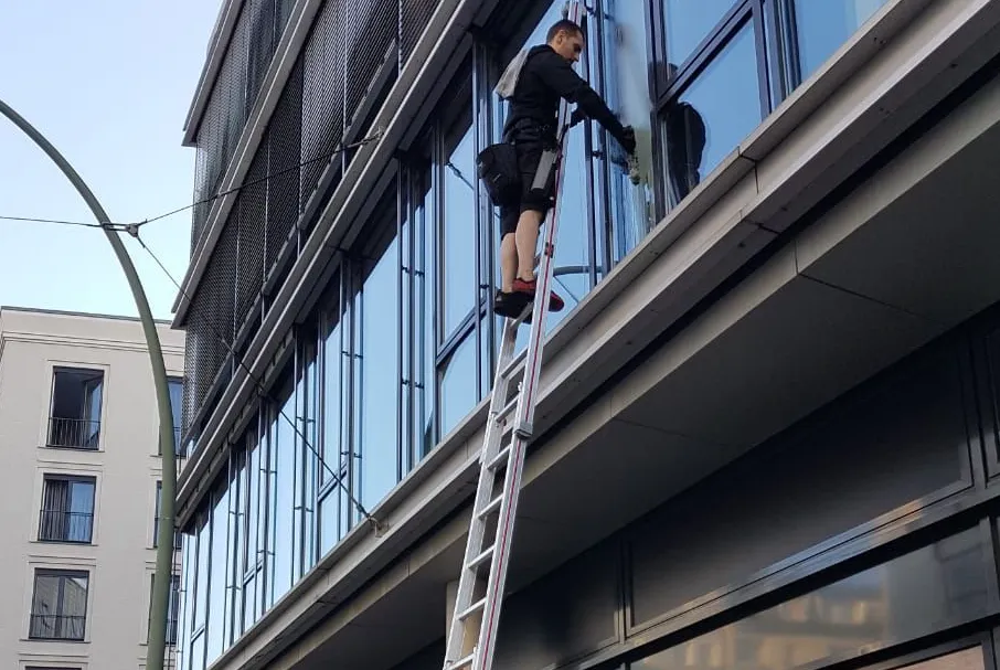 fenster reinigung